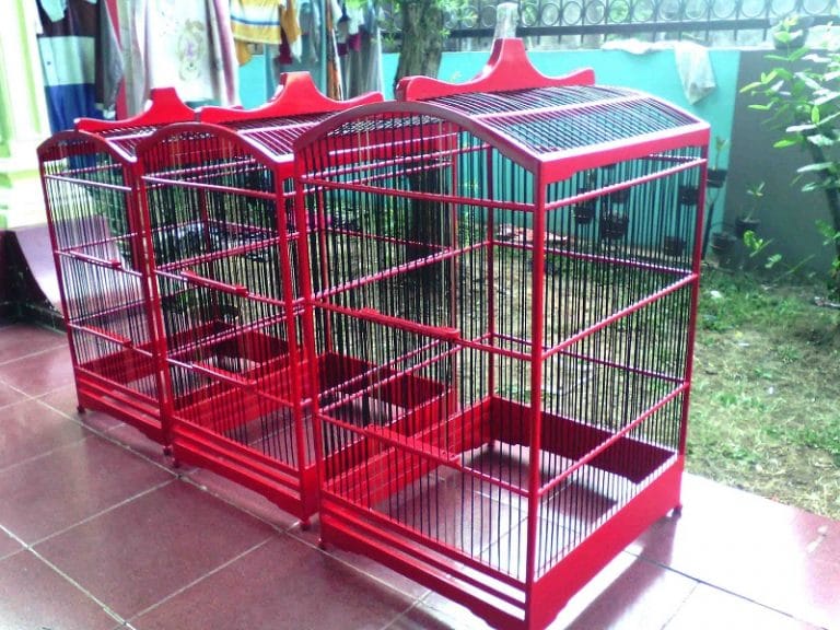  Cara  Mengecat  Sangkar  Burung  Agar Mengkilap dan Anti Kusam